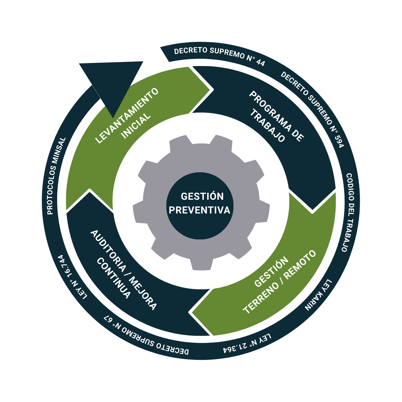 Ciclo Preventivo FEUM